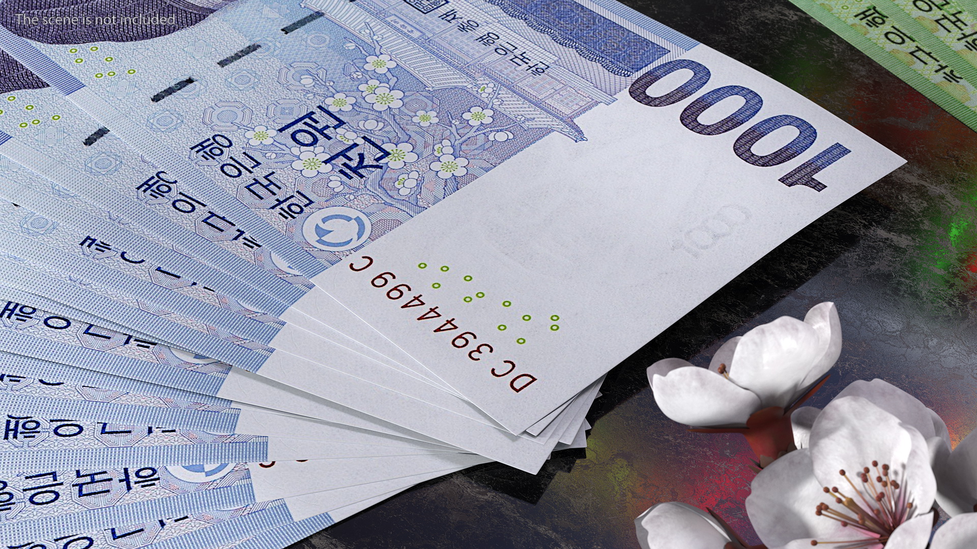3D Fan of South Korean 1000 Won Banknotes model
