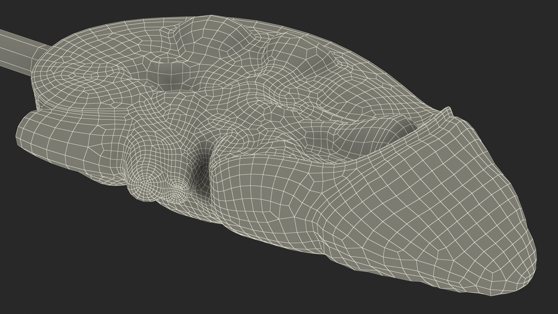 3D Kidney Anatomical Model model