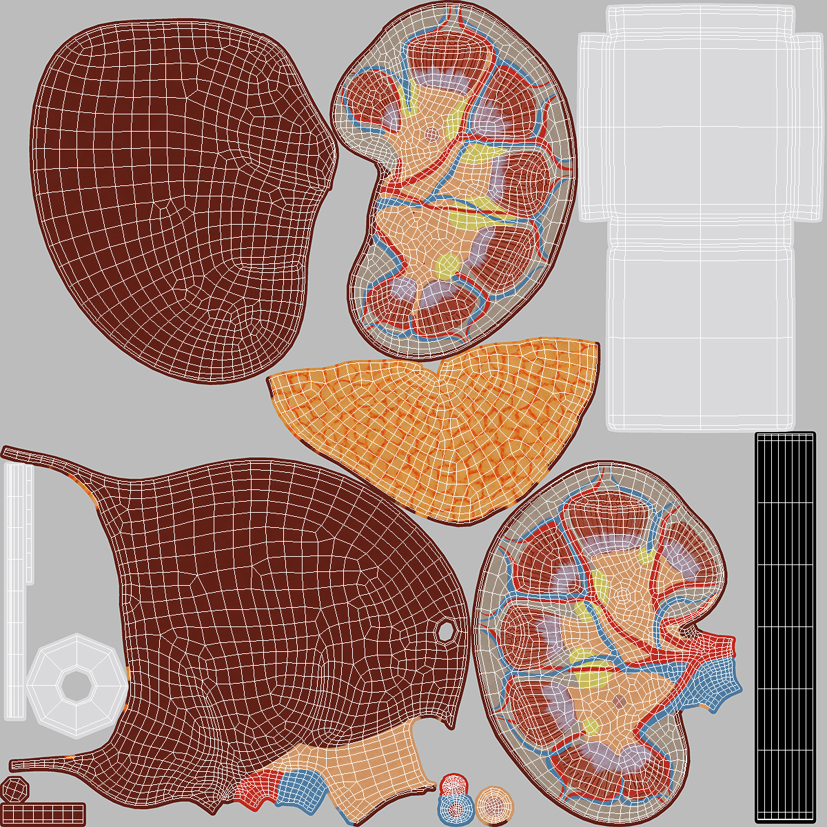 3D Kidney Anatomical Model model