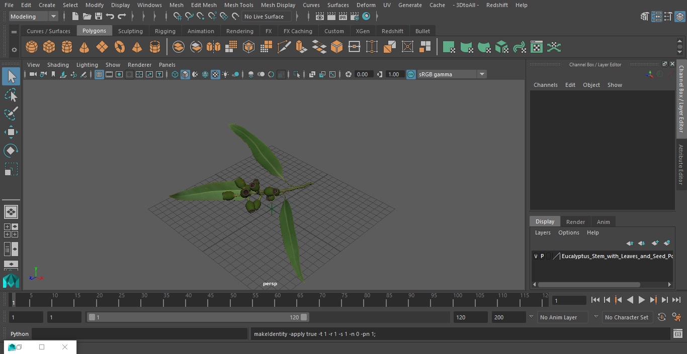 3D Eucalyptus Stem with Leaves and Seed Pods