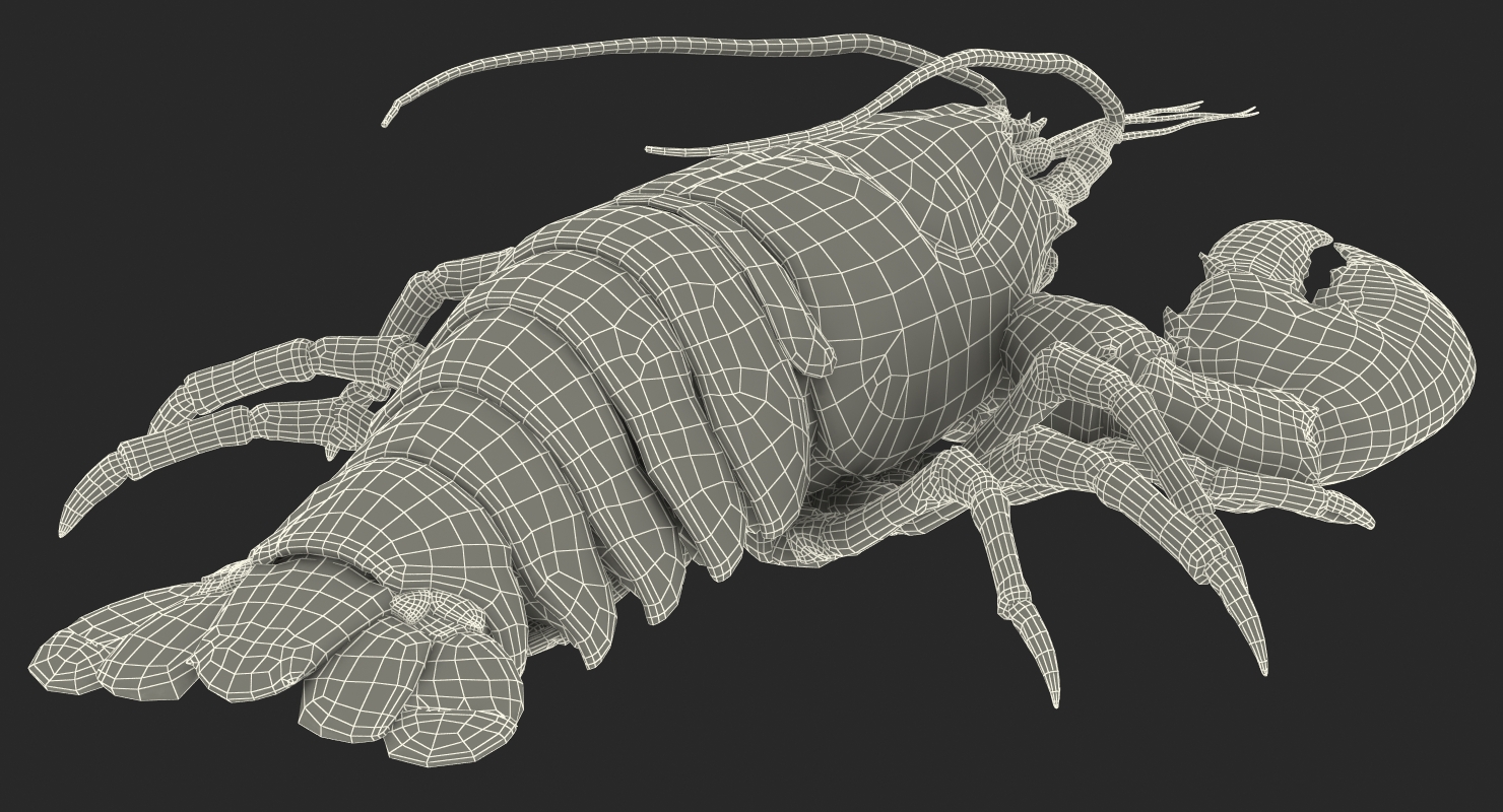 3D Lobster Pose 2 with Fur model