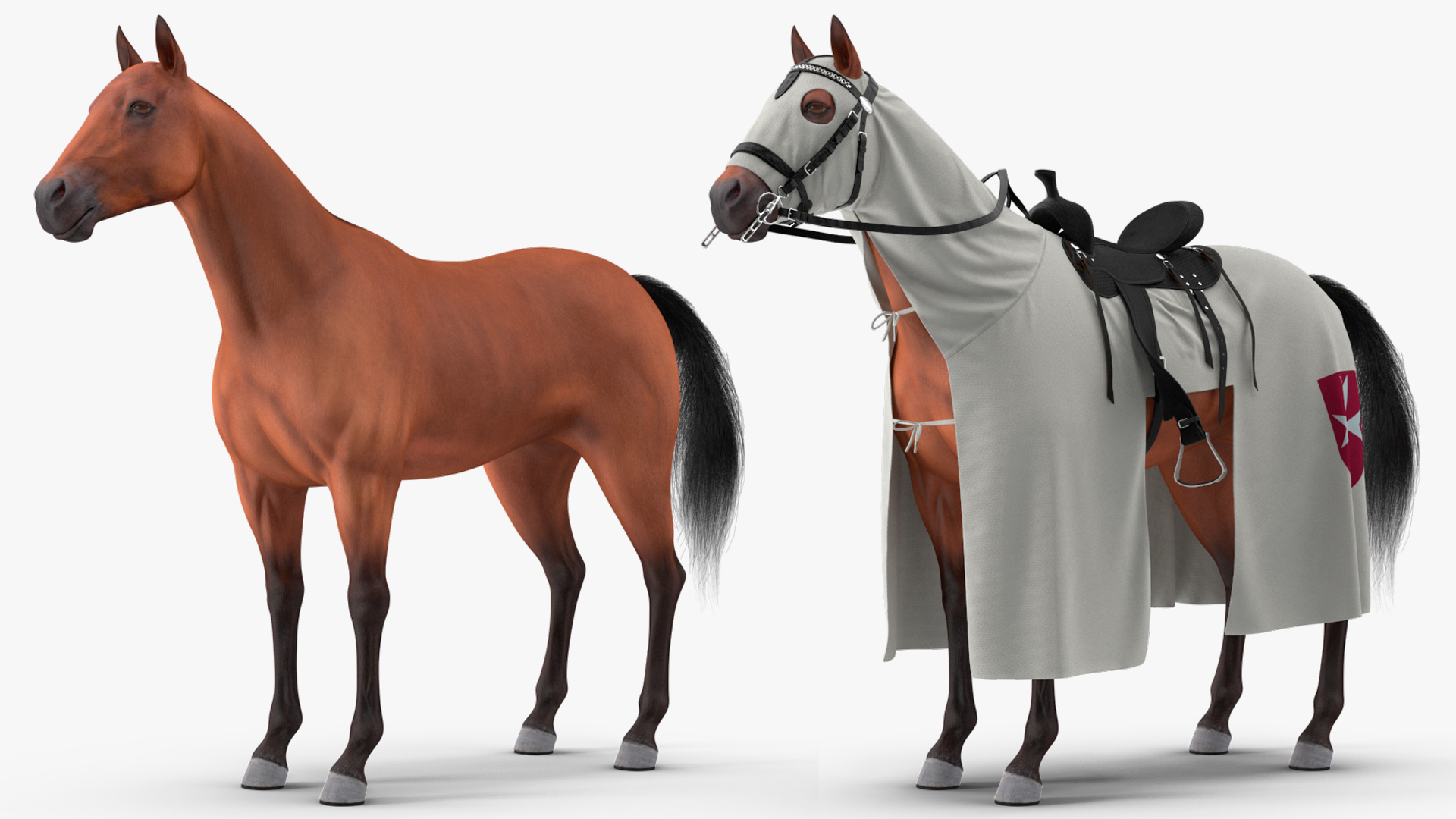 Crusader Horse Armor  with Knight Fur 3D