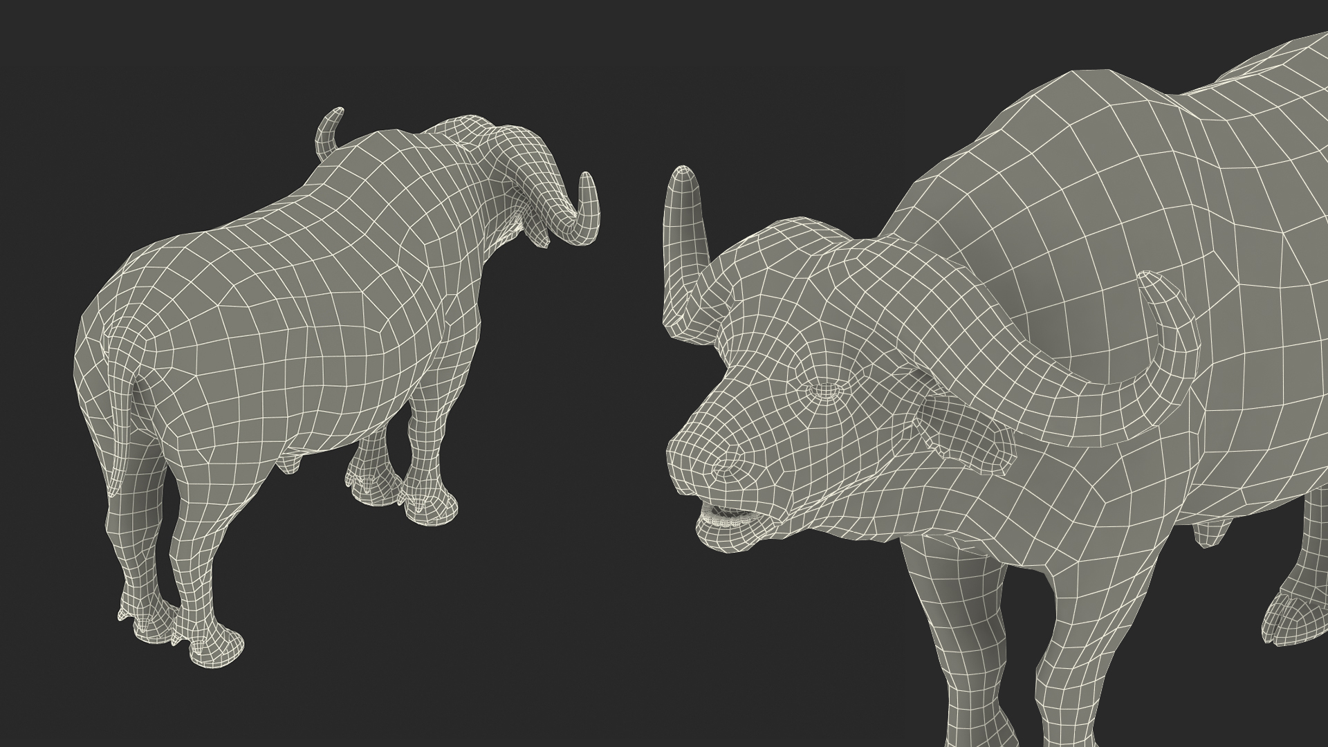 3D Syncerus Caffer African Buffalo