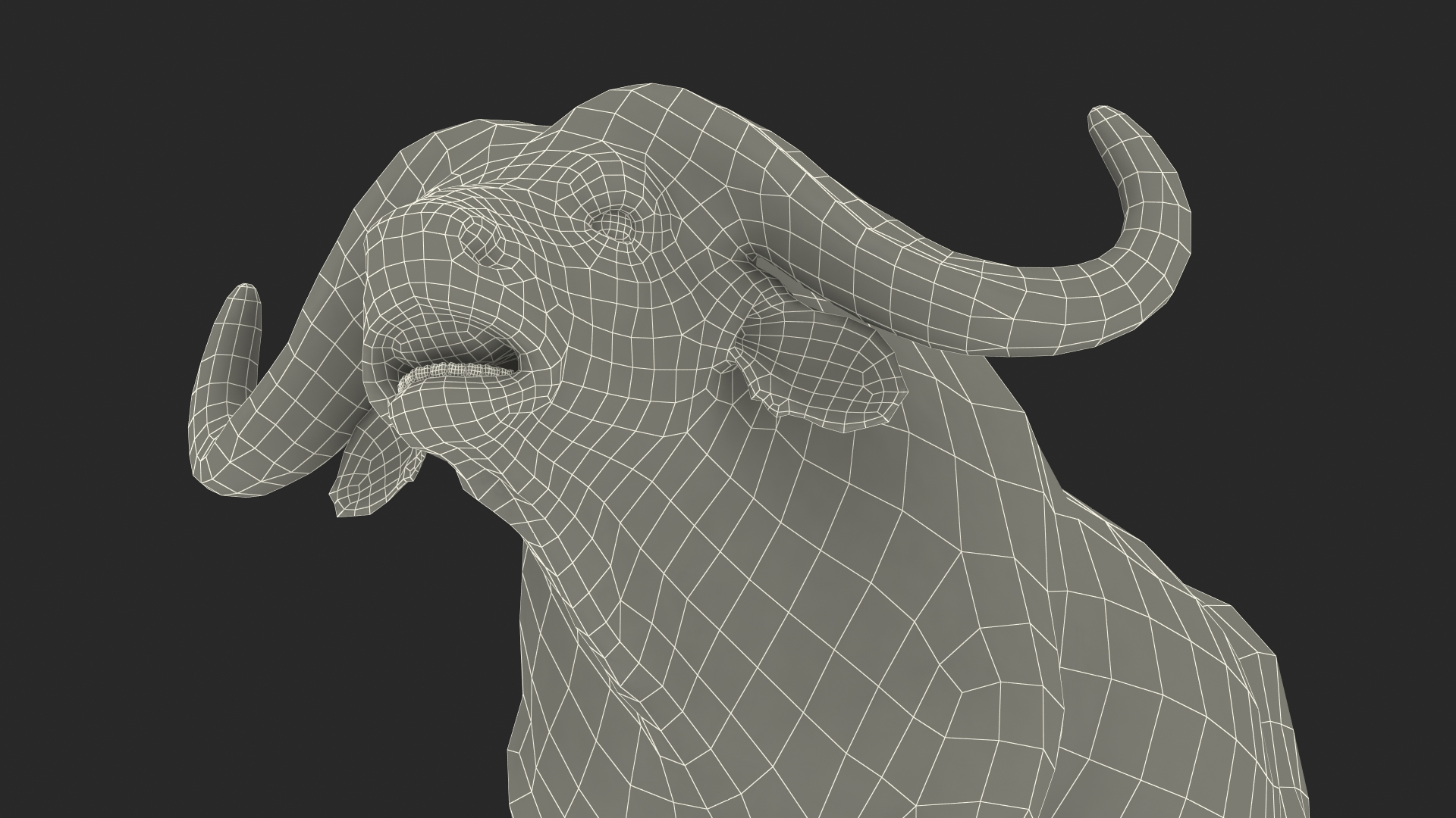3D Syncerus Caffer African Buffalo