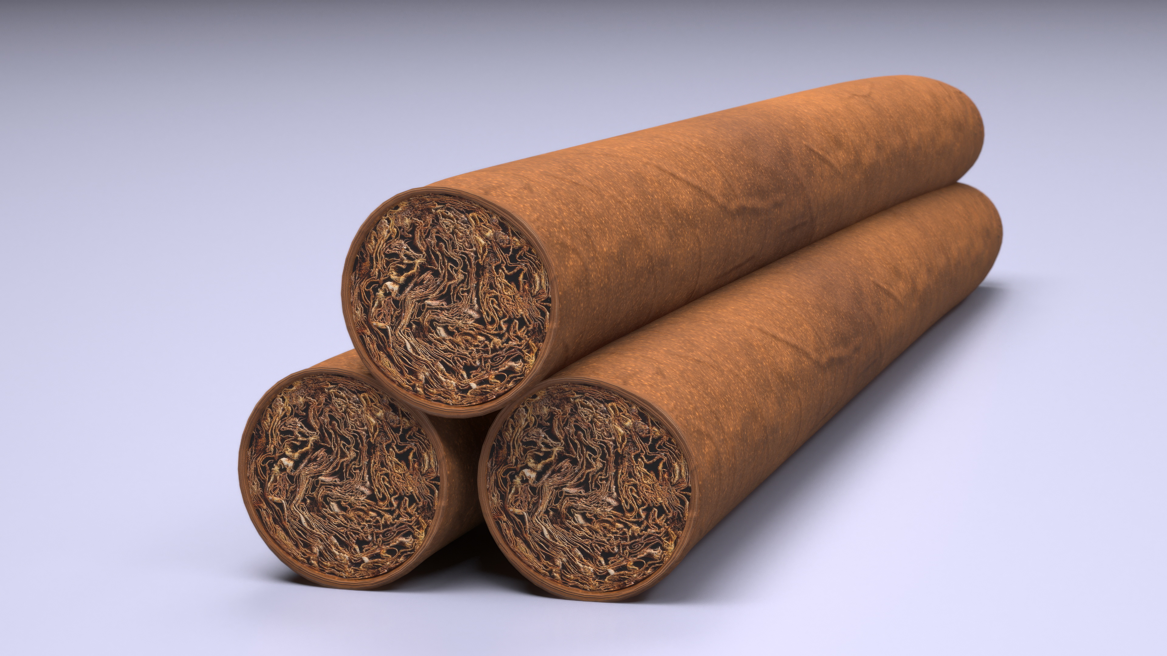 Cigarillo 3D model