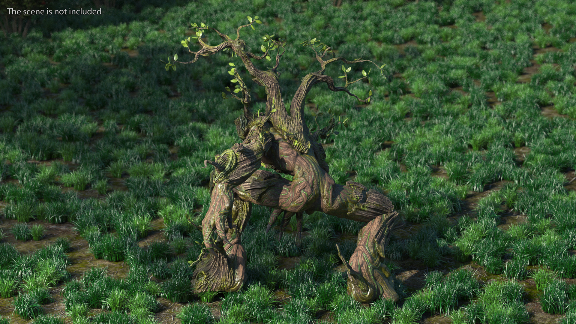 Dendroid Rigged for Cinema 4D 3D model