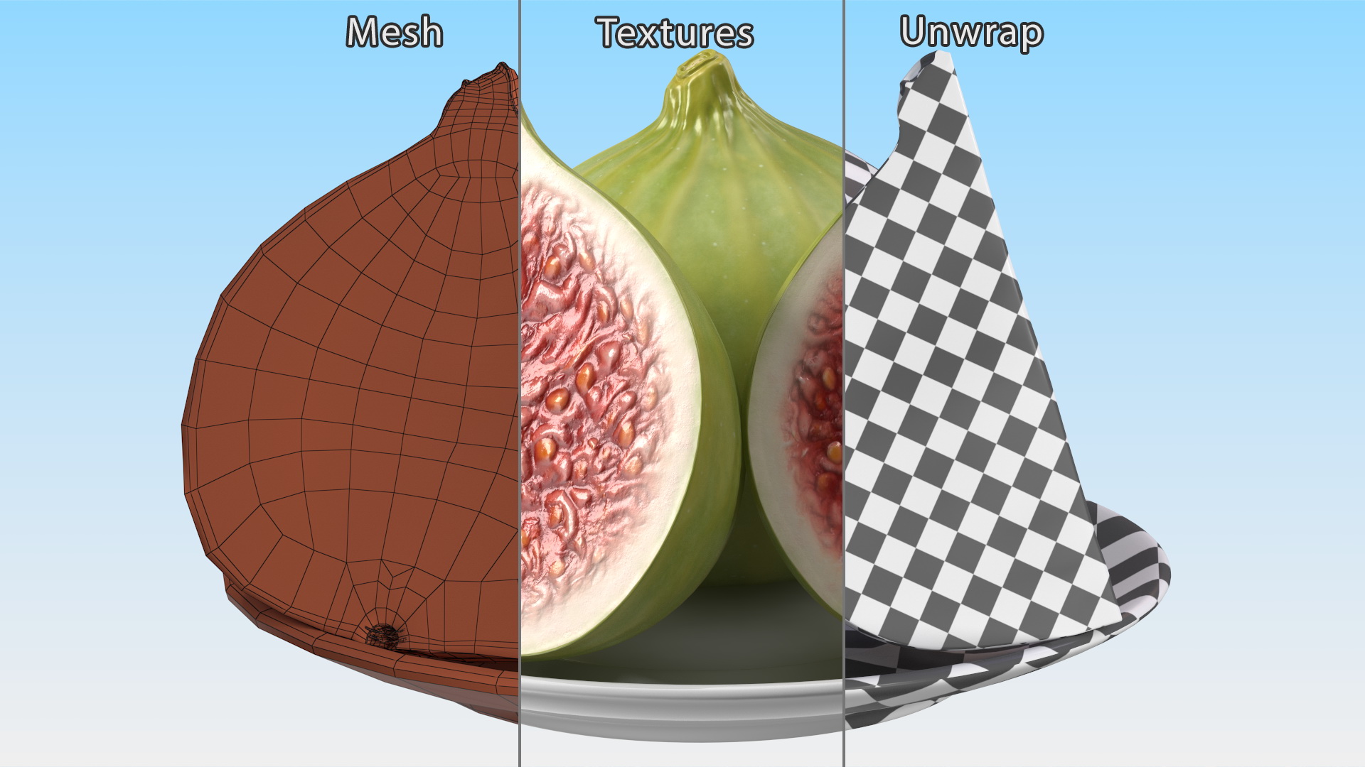 Green Fig Whole Quarter and Half on Saucer 3D