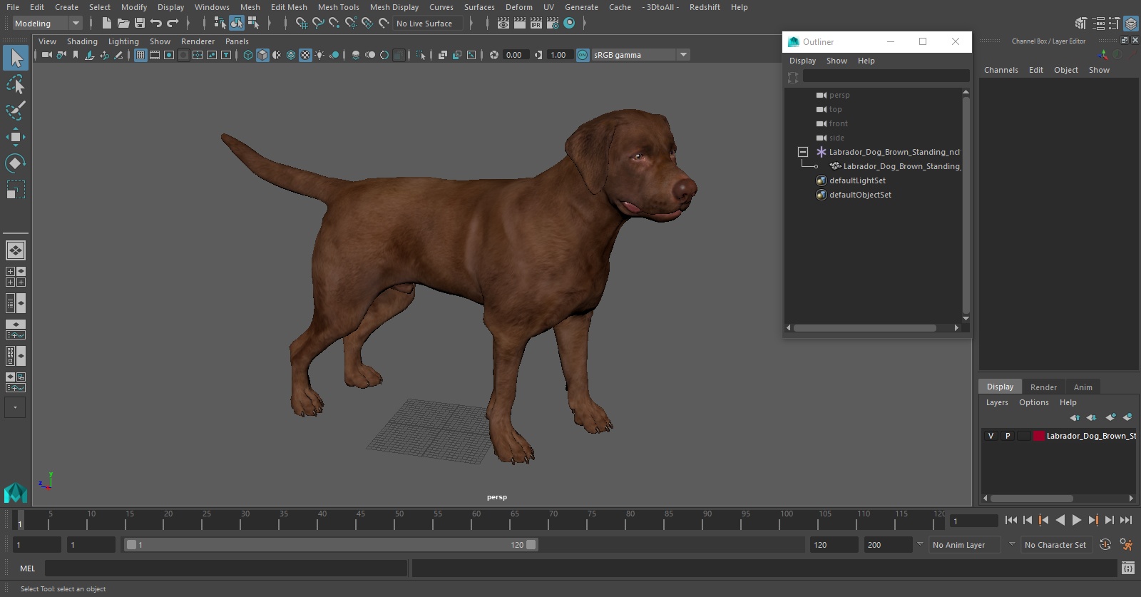 Labrador Dog Brown Standing 3D