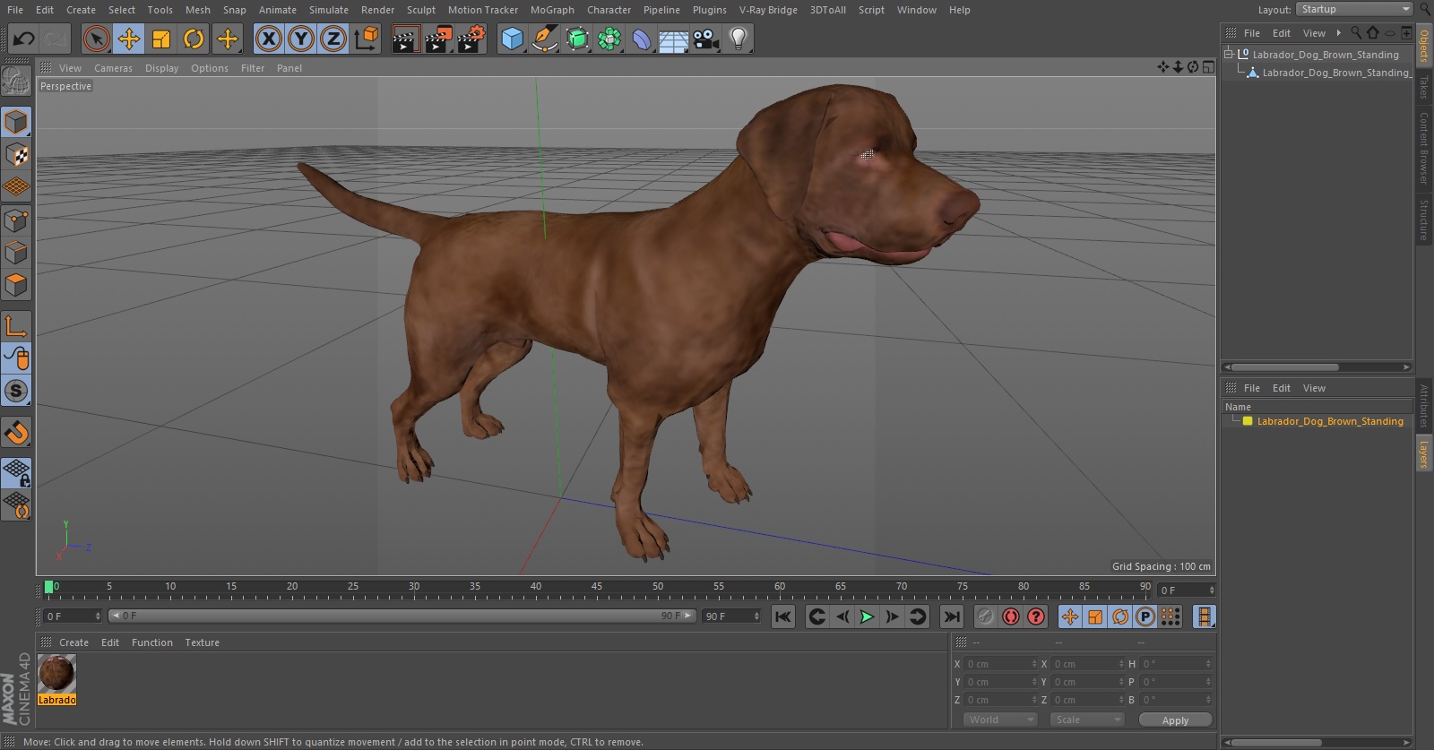Labrador Dog Brown Standing 3D