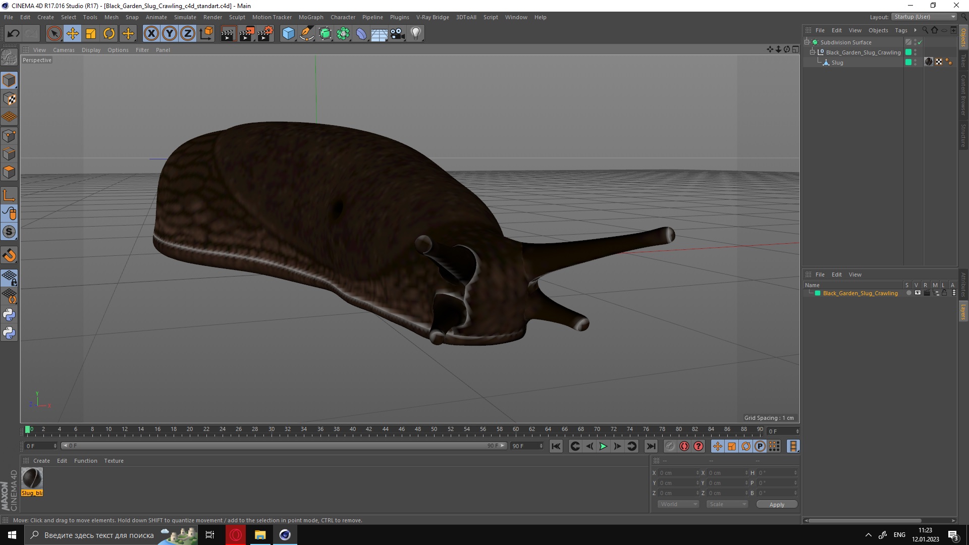 3D Black Garden Slug Crawling
