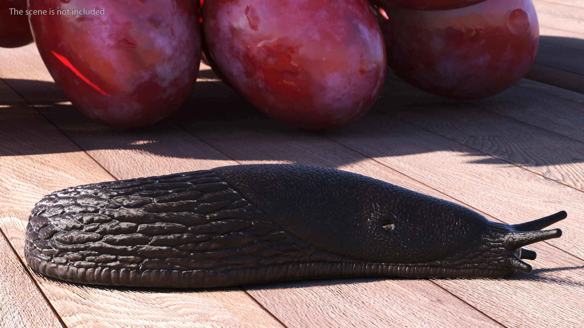 3D Black Garden Slug Crawling