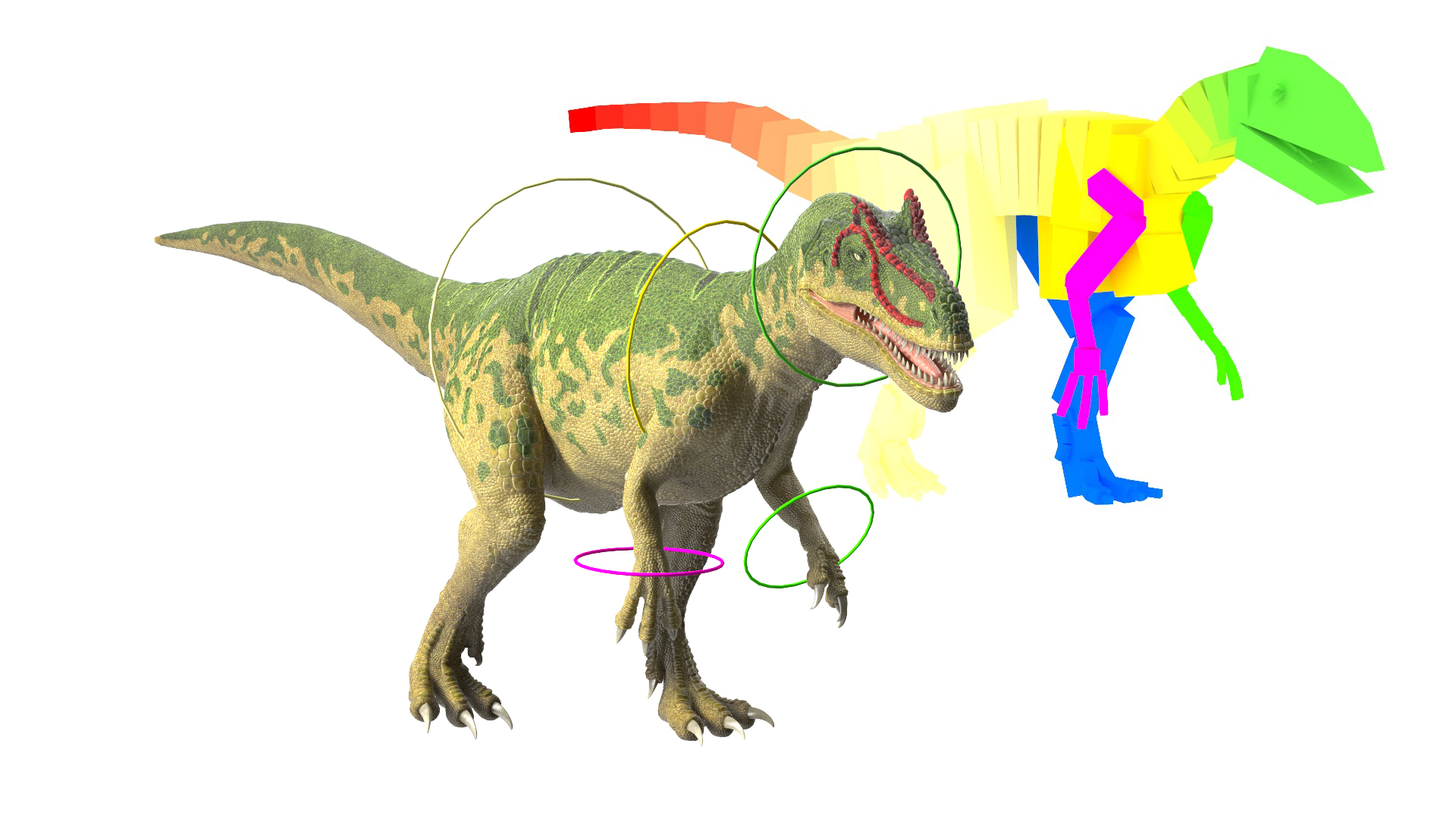3D Allosaurus Green Coloring Rigged for Cinema 4D