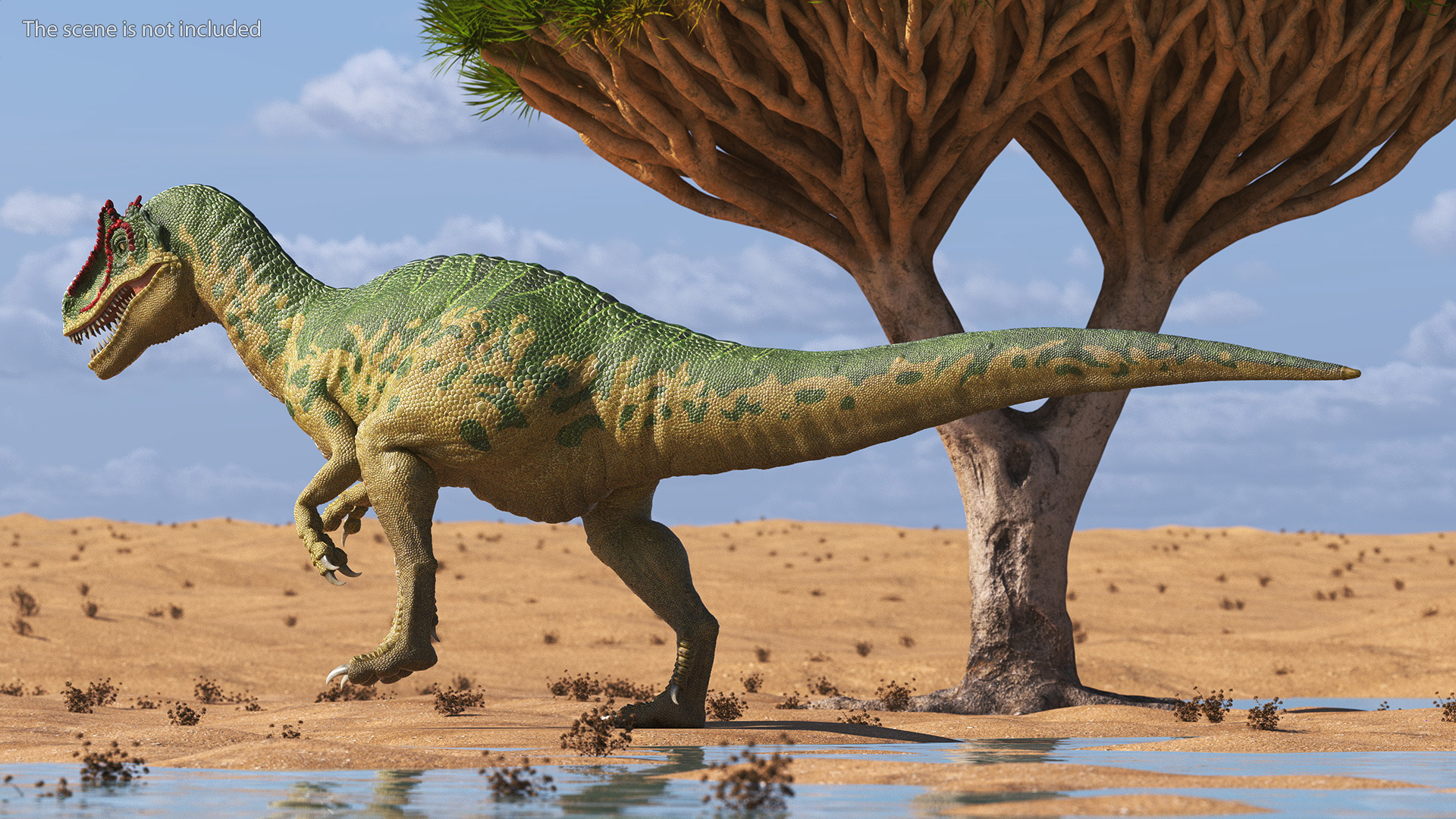 3D Allosaurus Green Coloring Rigged for Cinema 4D