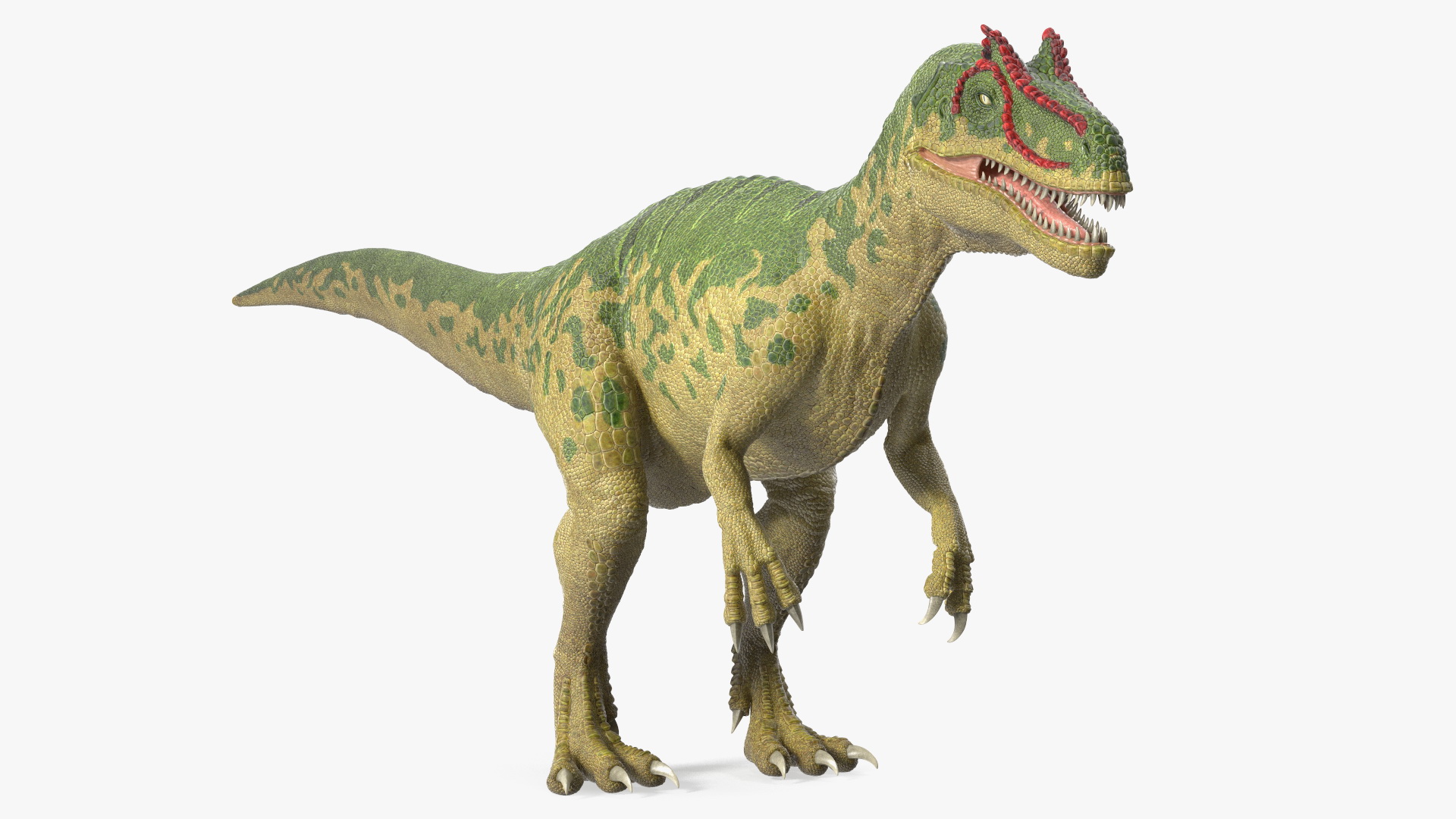 3D Allosaurus Green Coloring Rigged for Cinema 4D