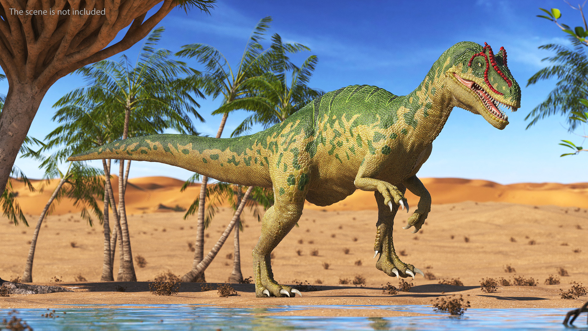 3D Allosaurus Green Coloring Rigged for Cinema 4D