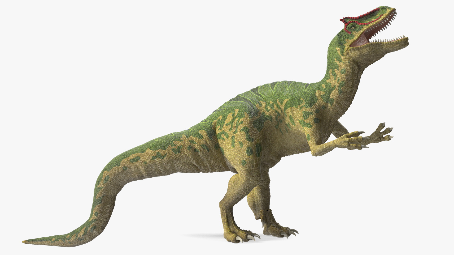 3D Allosaurus Green Coloring Rigged for Cinema 4D