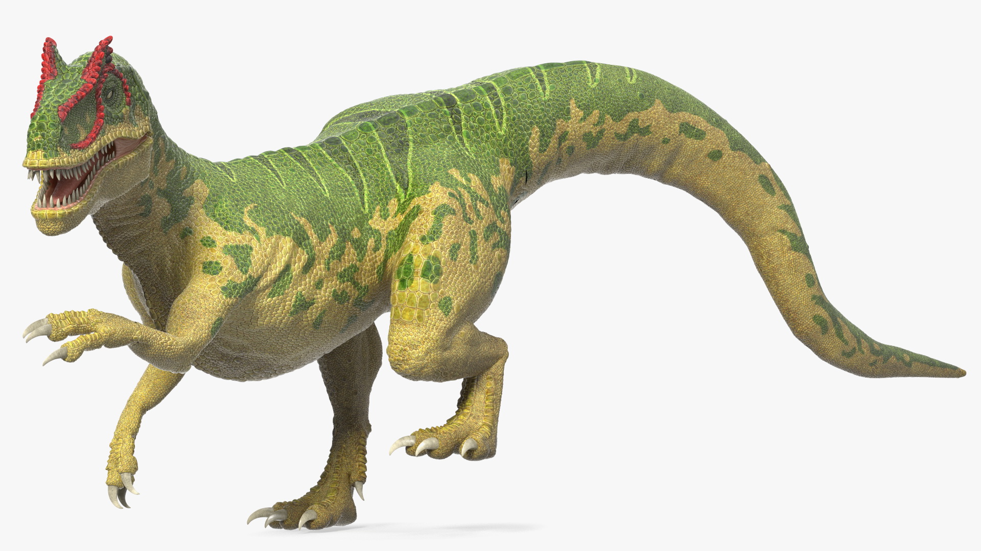 3D Allosaurus Green Coloring Rigged for Cinema 4D
