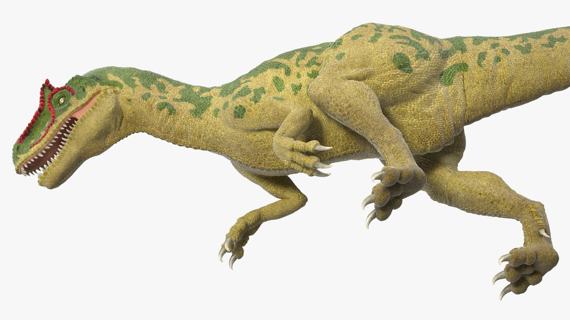 3D Allosaurus Green Coloring Rigged for Cinema 4D