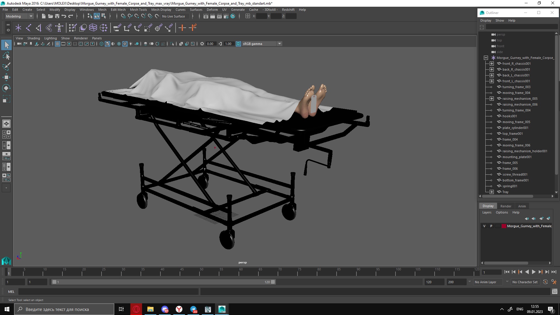 3D Morgue Gurney with Female Corpse and Tray