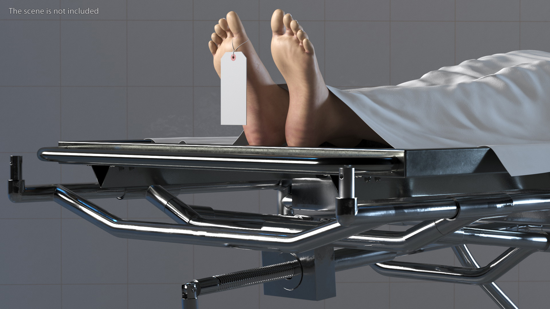 3D Morgue Gurney with Female Corpse and Tray