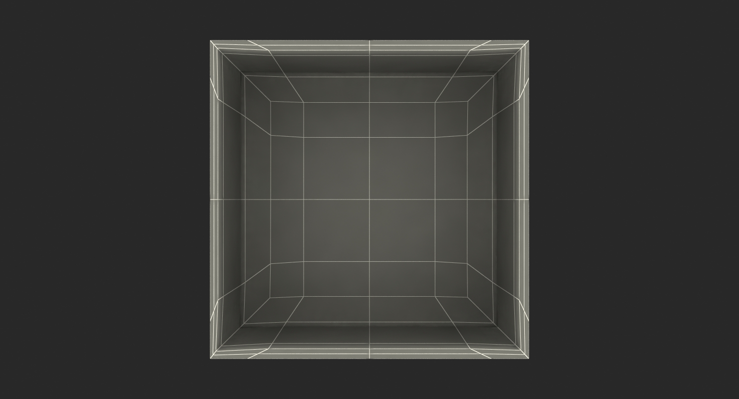 3D Square Glass Vase with Water model