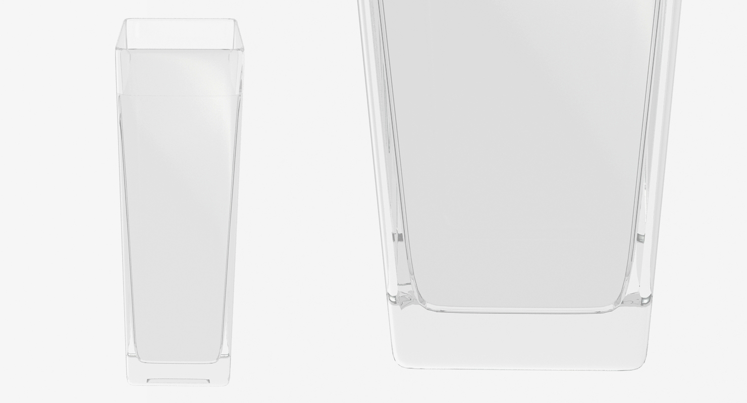 3D Square Glass Vase with Water model
