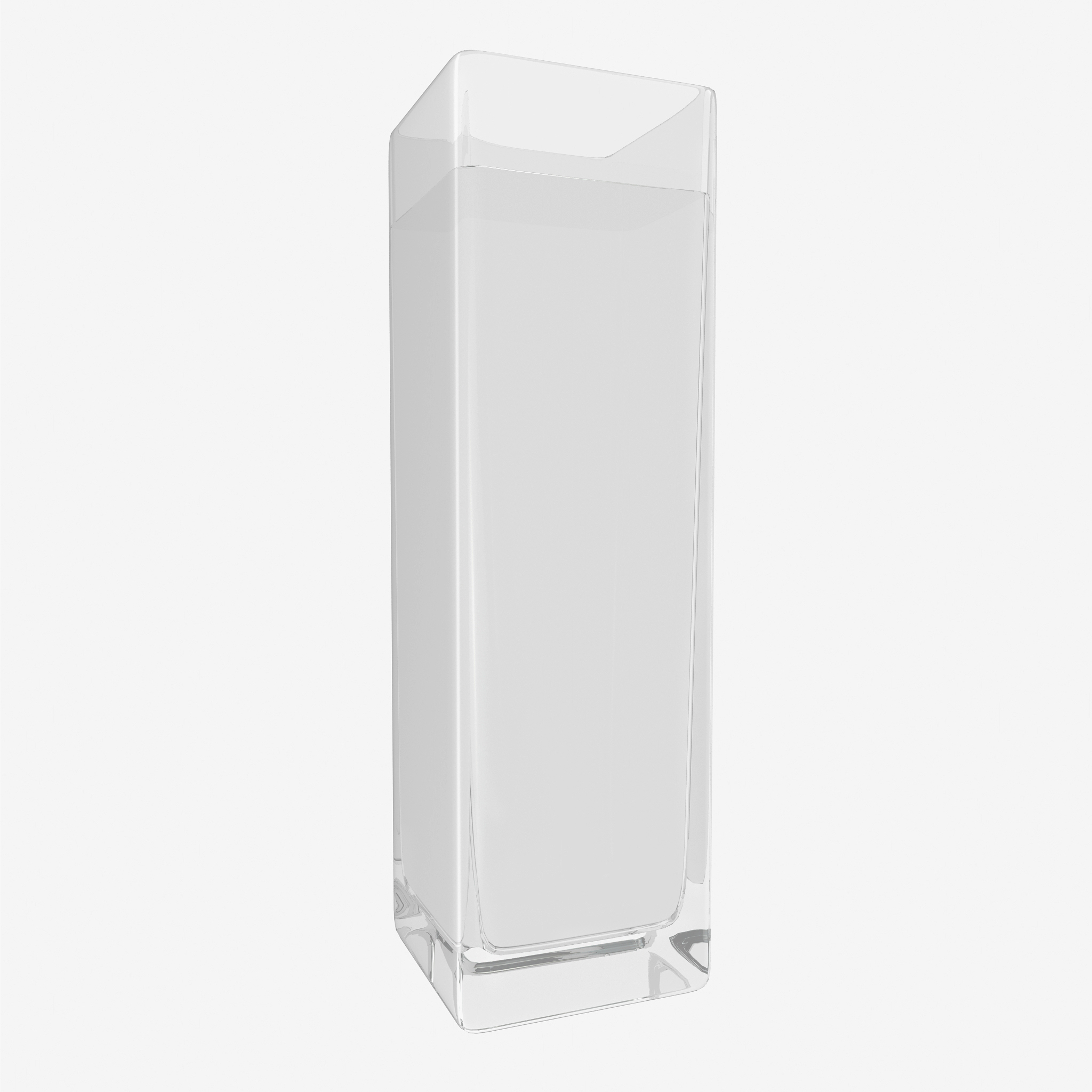 Square Glass Vase with Water