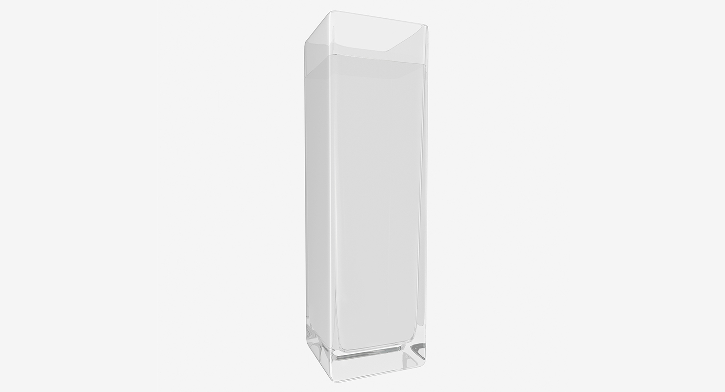3D Square Glass Vase with Water model