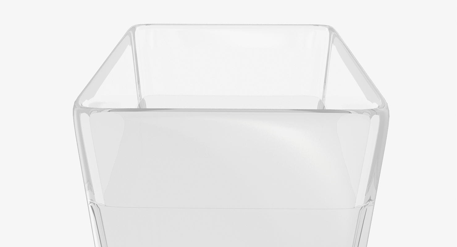 3D Square Glass Vase with Water model