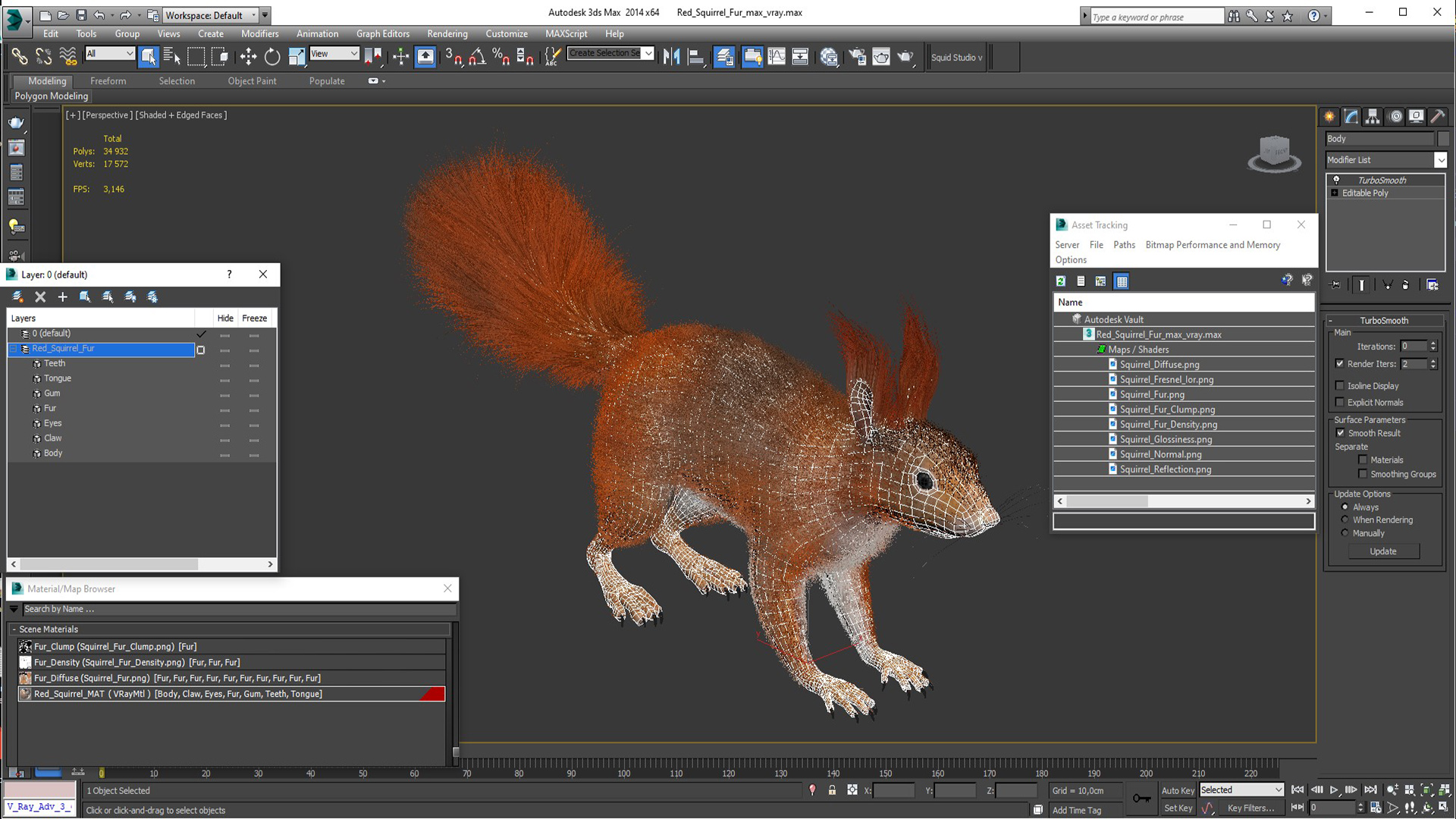 3D Red Squirrel Fur