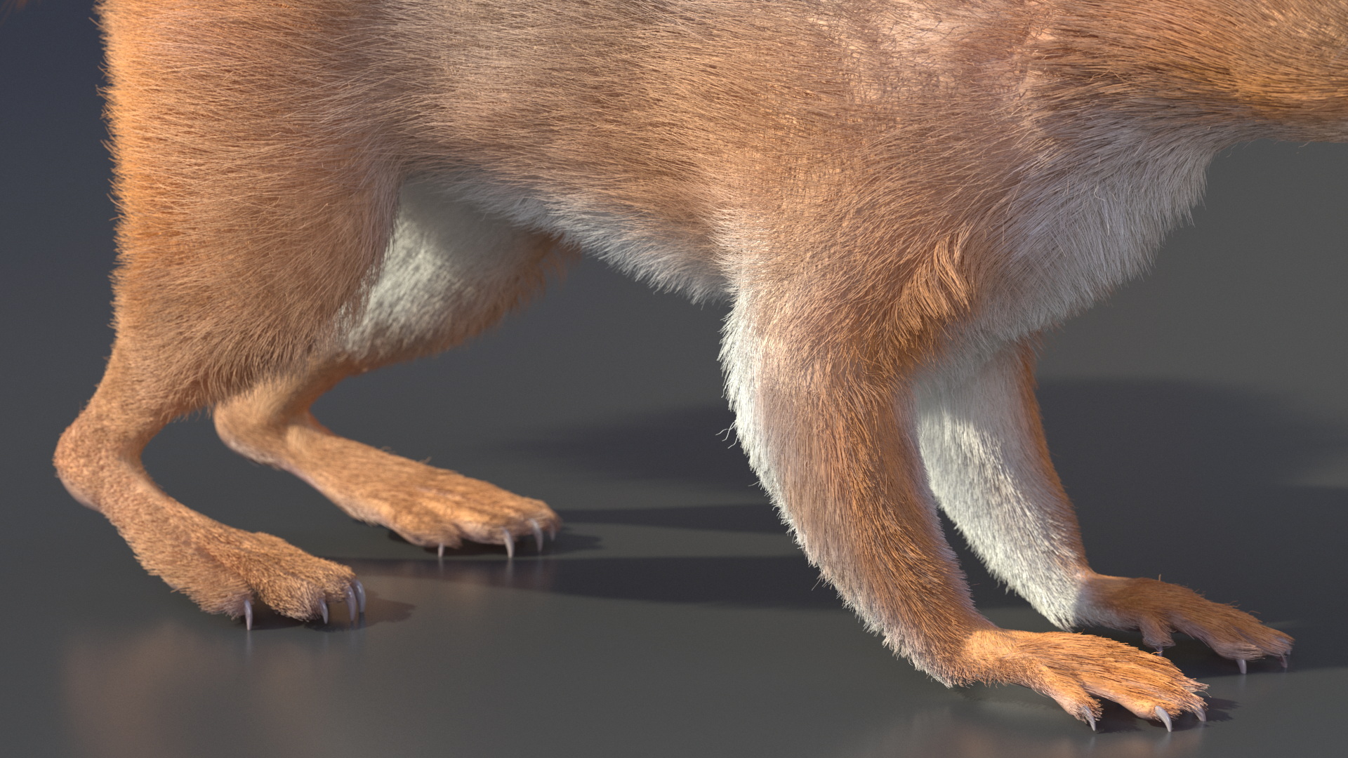 3D Red Squirrel Fur