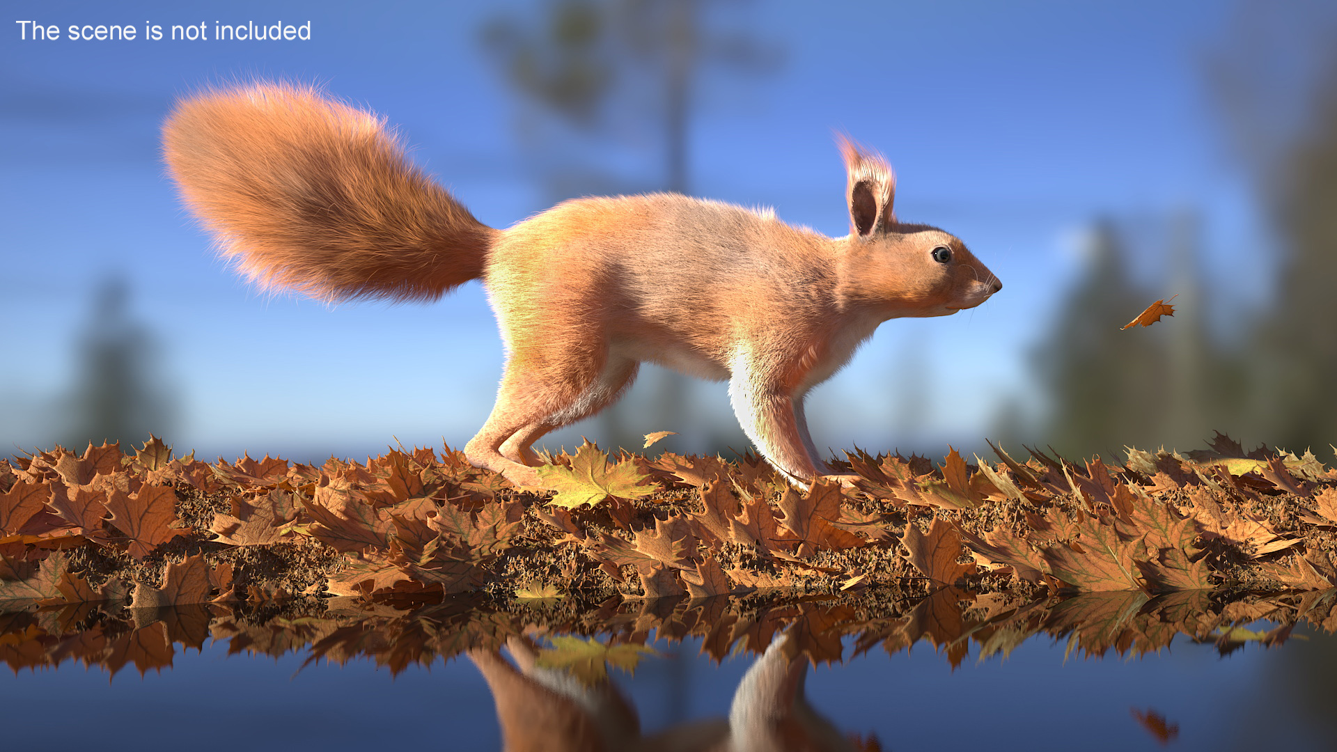 3D Red Squirrel Fur