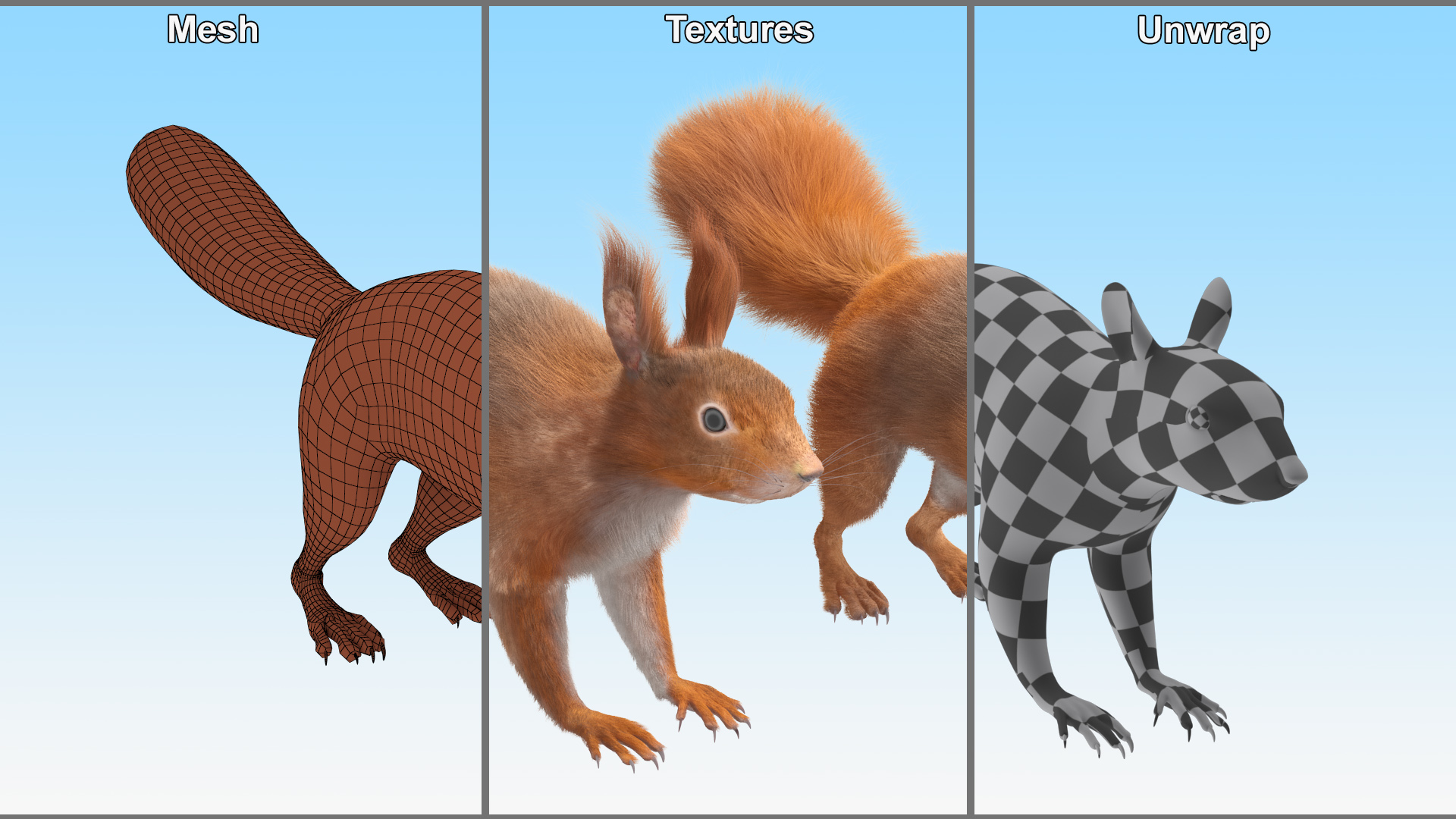 3D Red Squirrel Fur
