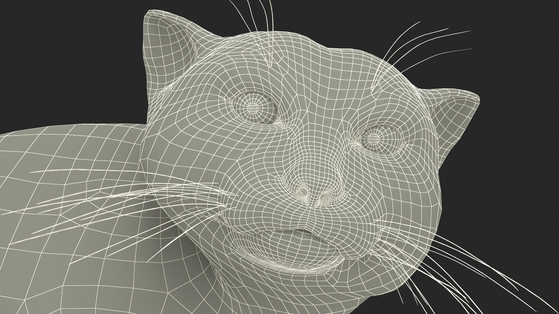 3D model Manul Cat in Sitting