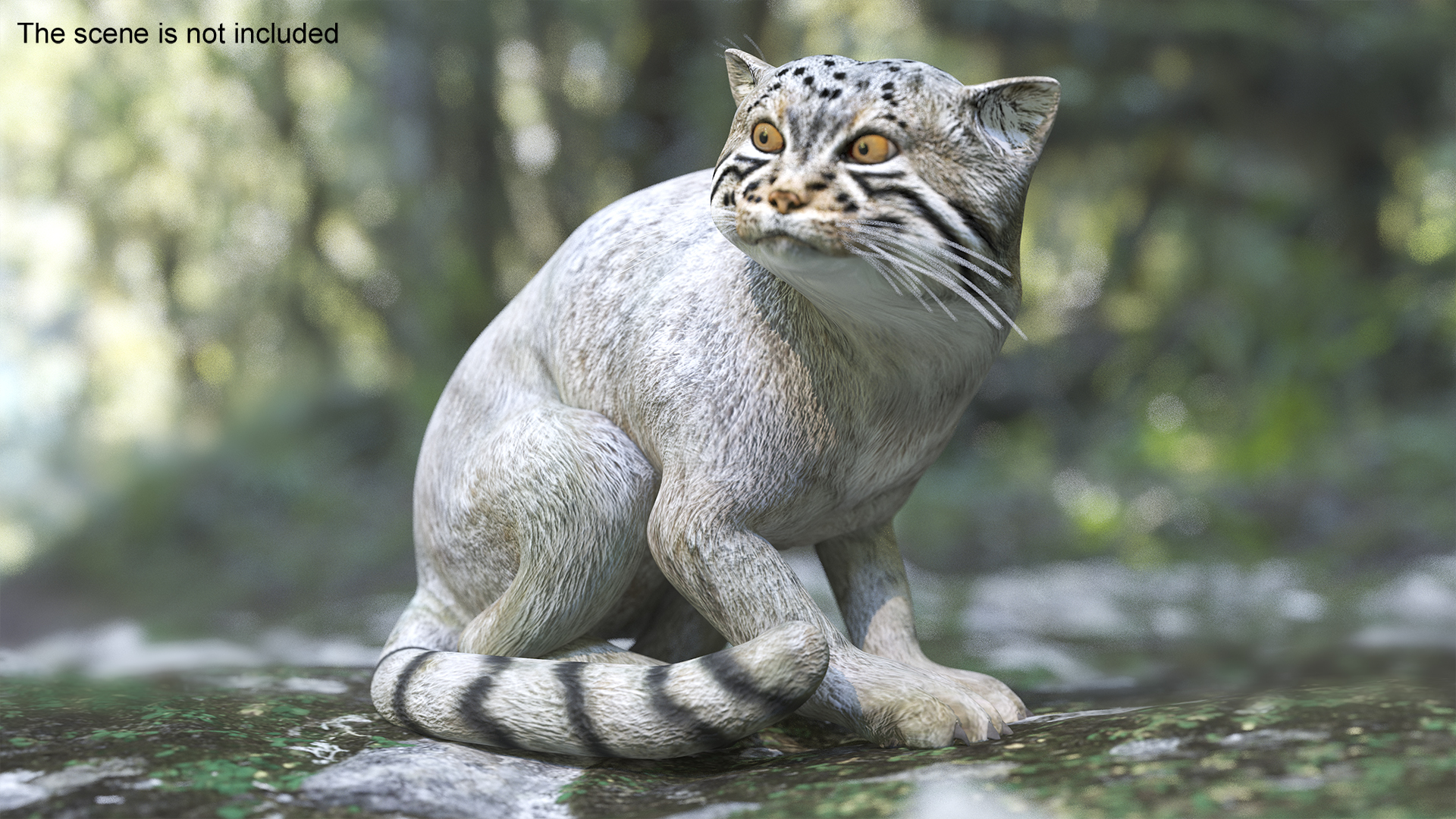 3D model Manul Cat in Sitting