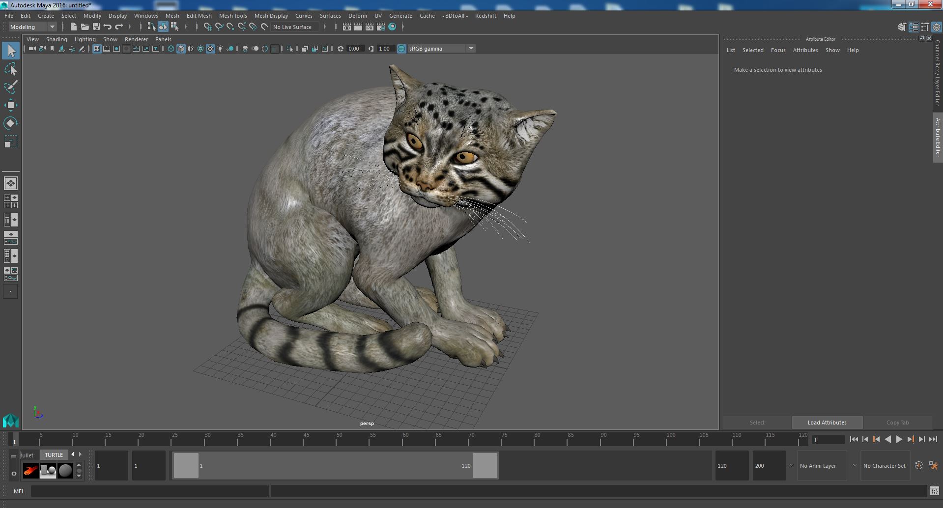 3D model Manul Cat in Sitting