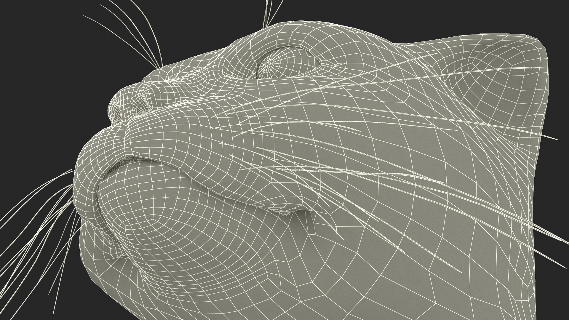3D model Manul Cat in Sitting