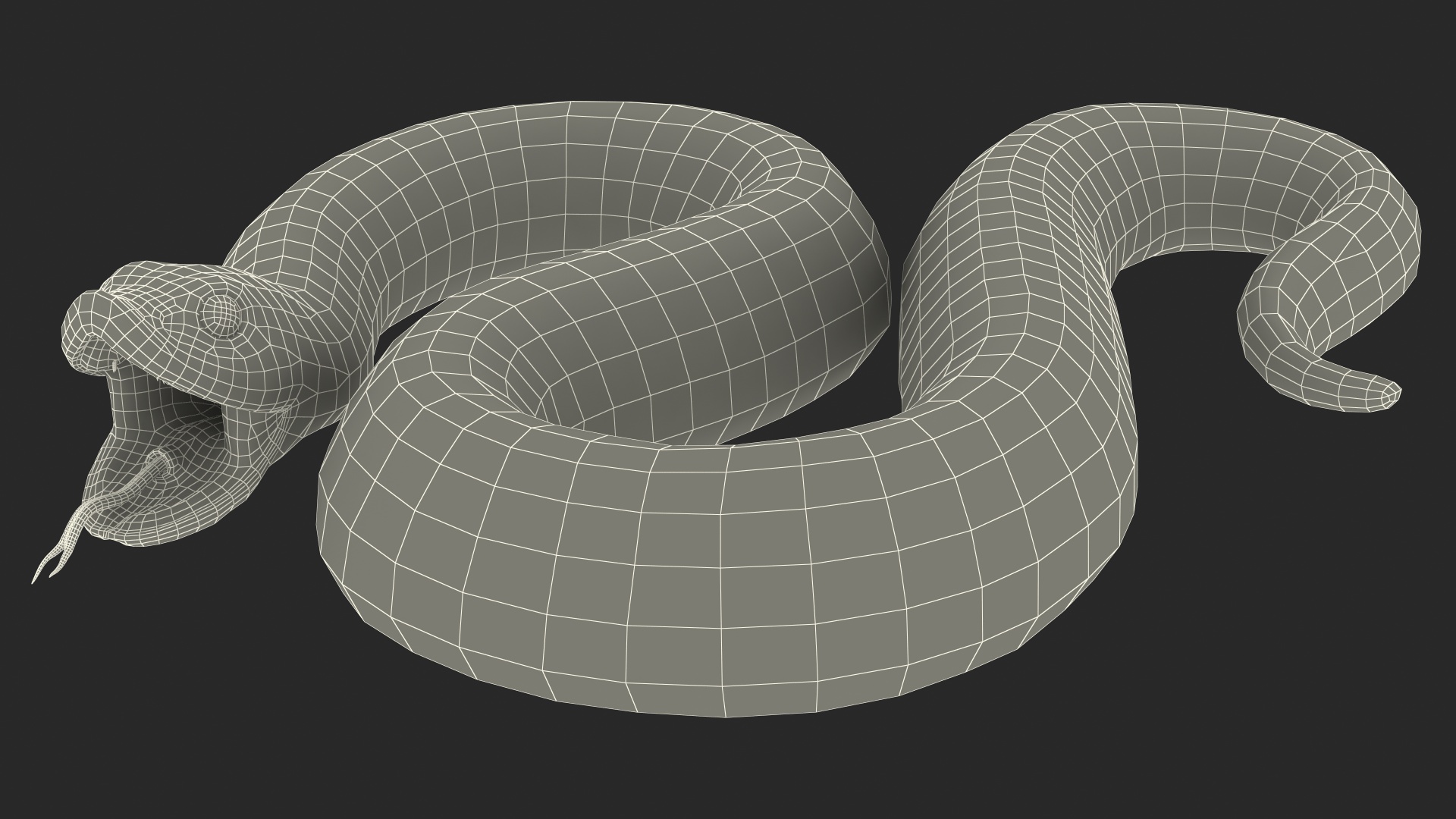 Red Hognose Snake Attack Pose 3D model