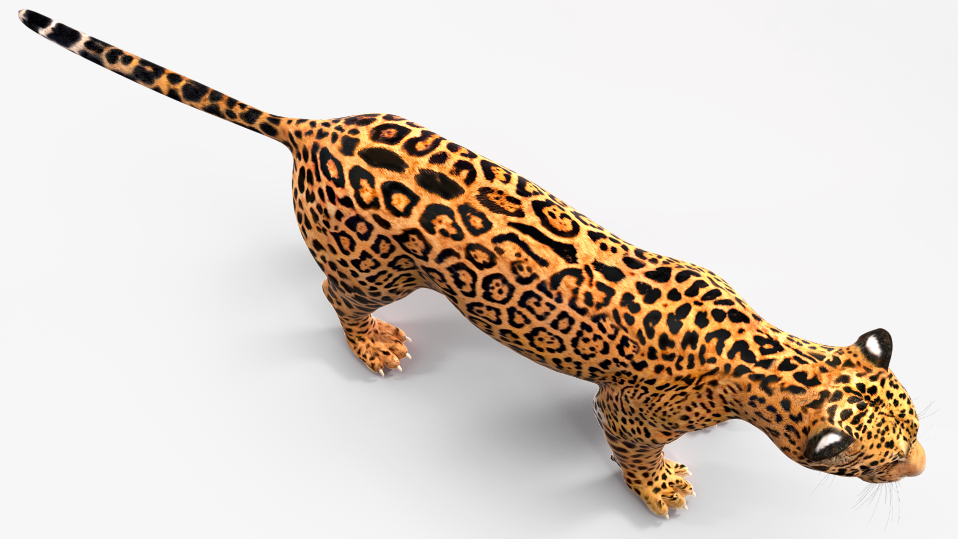 3D model Jaguar