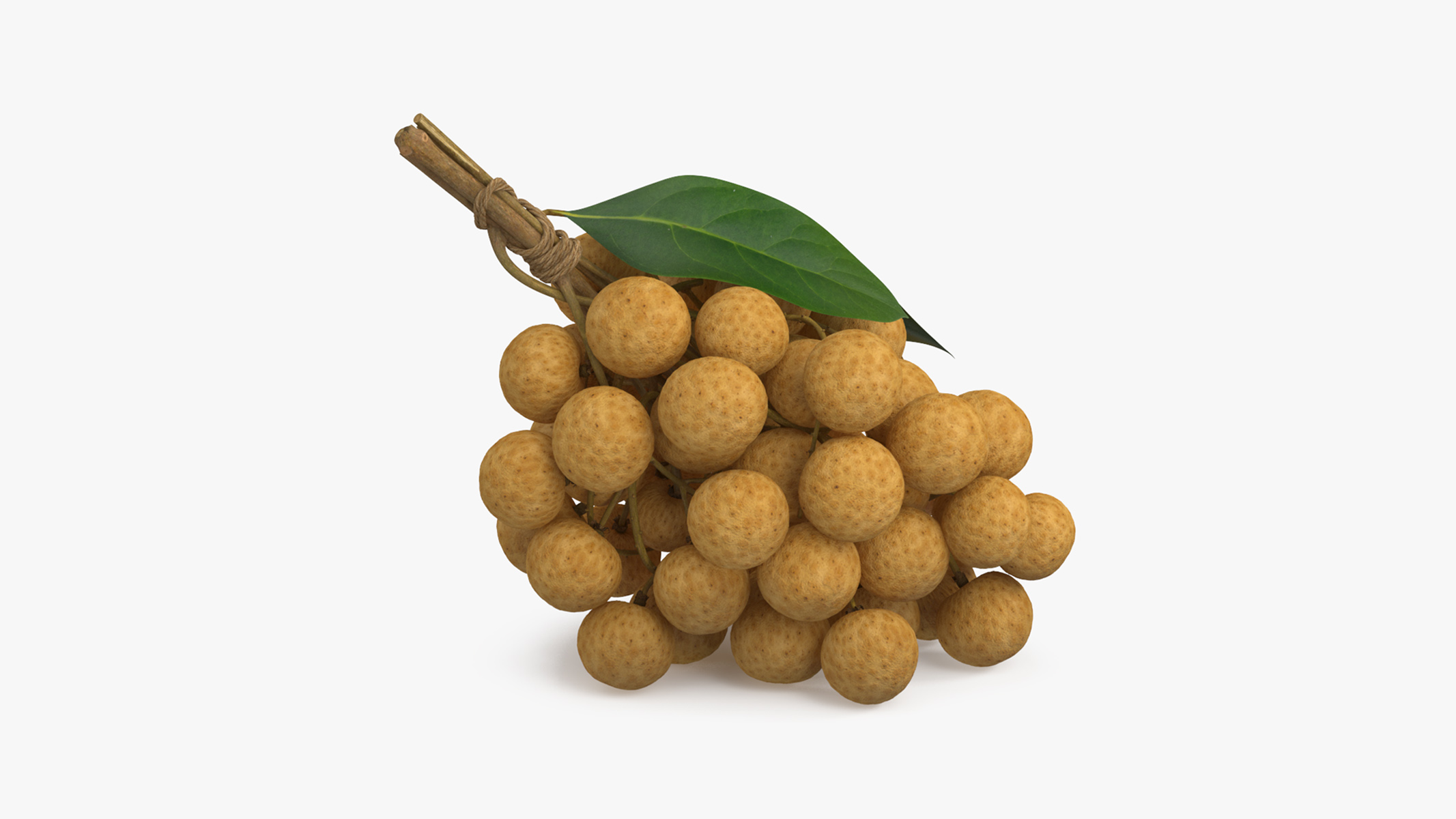3D Longan Exotic Fruit Bundle