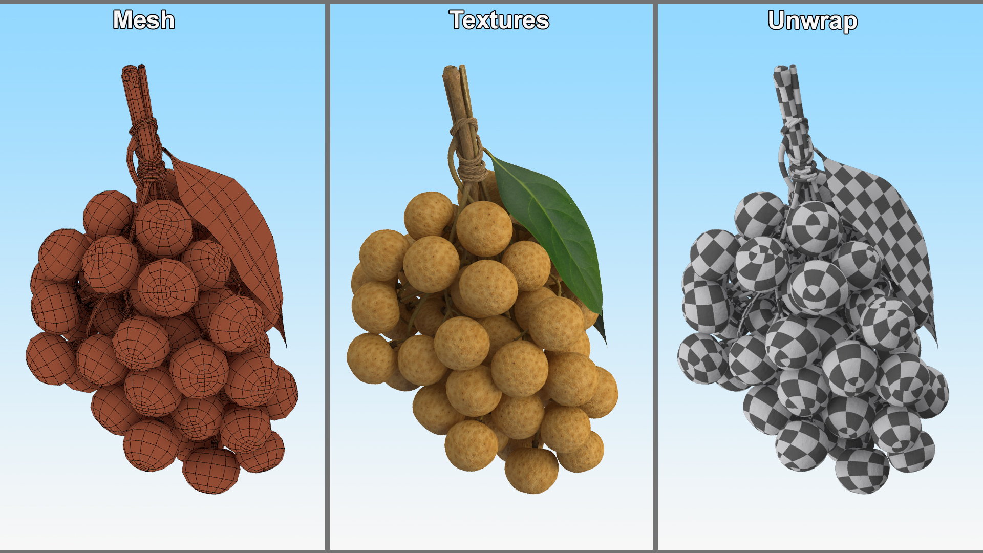 3D Longan Exotic Fruit Bundle