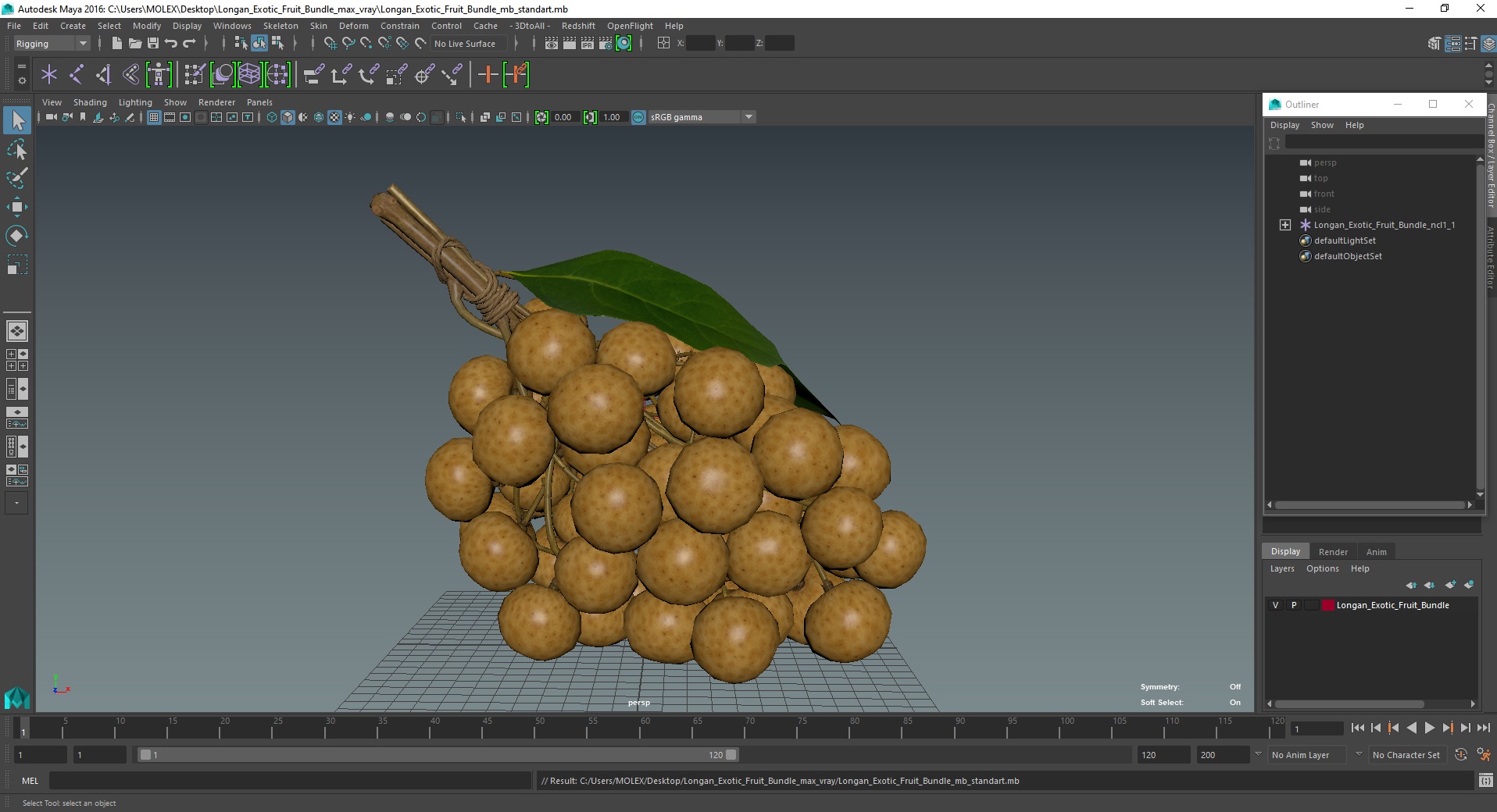 3D Longan Exotic Fruit Bundle