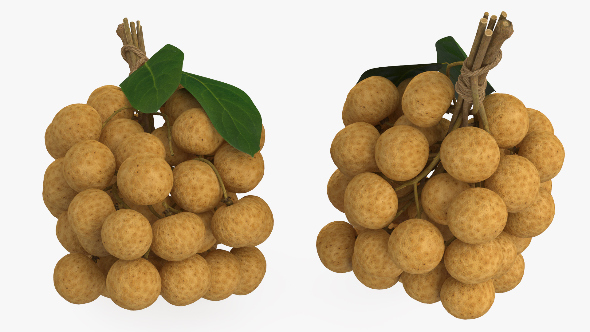 3D Longan Exotic Fruit Bundle