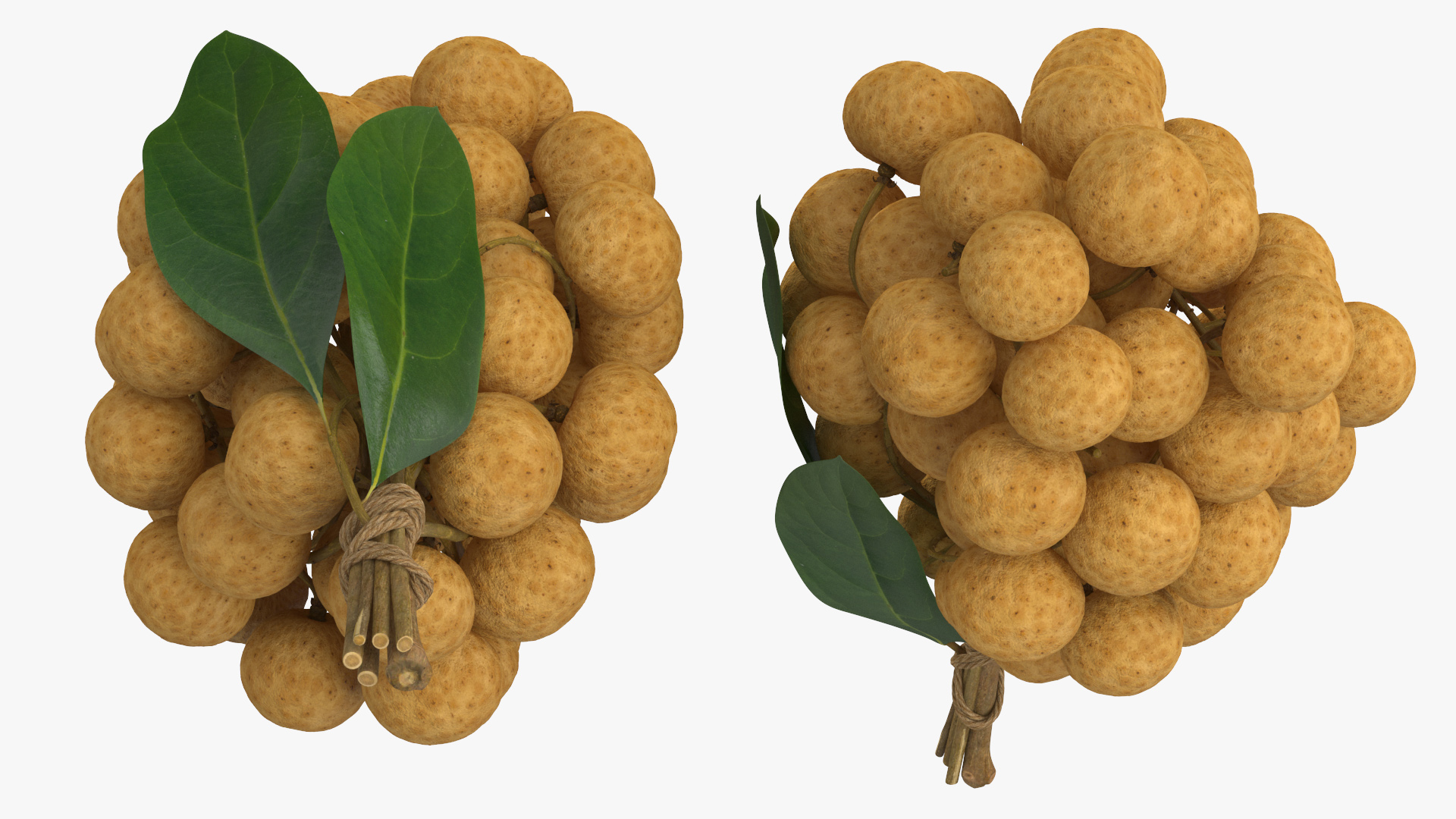 3D Longan Exotic Fruit Bundle