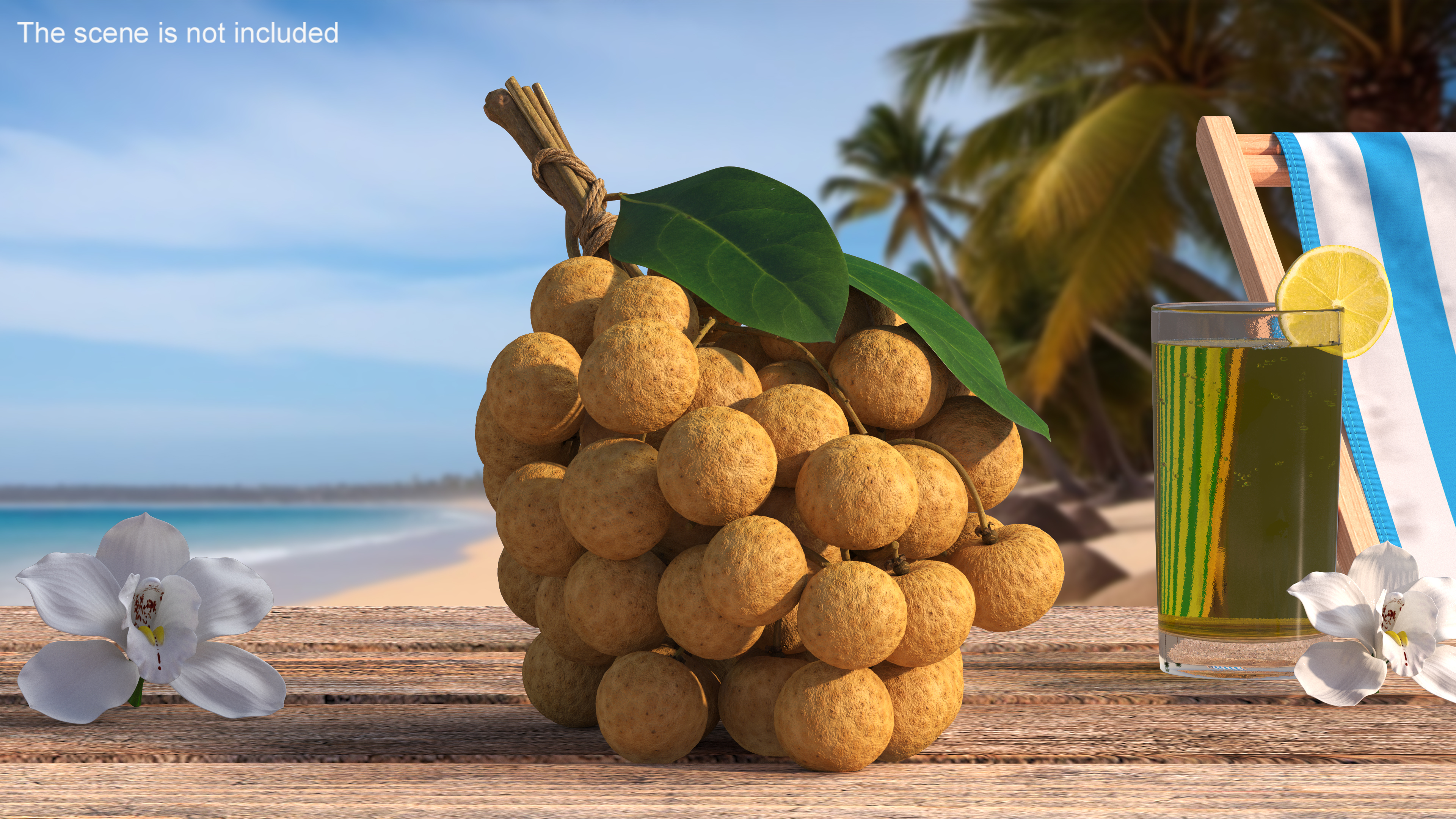 3D Longan Exotic Fruit Bundle