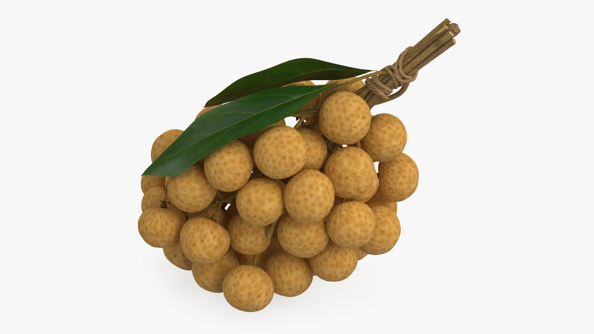 3D Longan Exotic Fruit Bundle