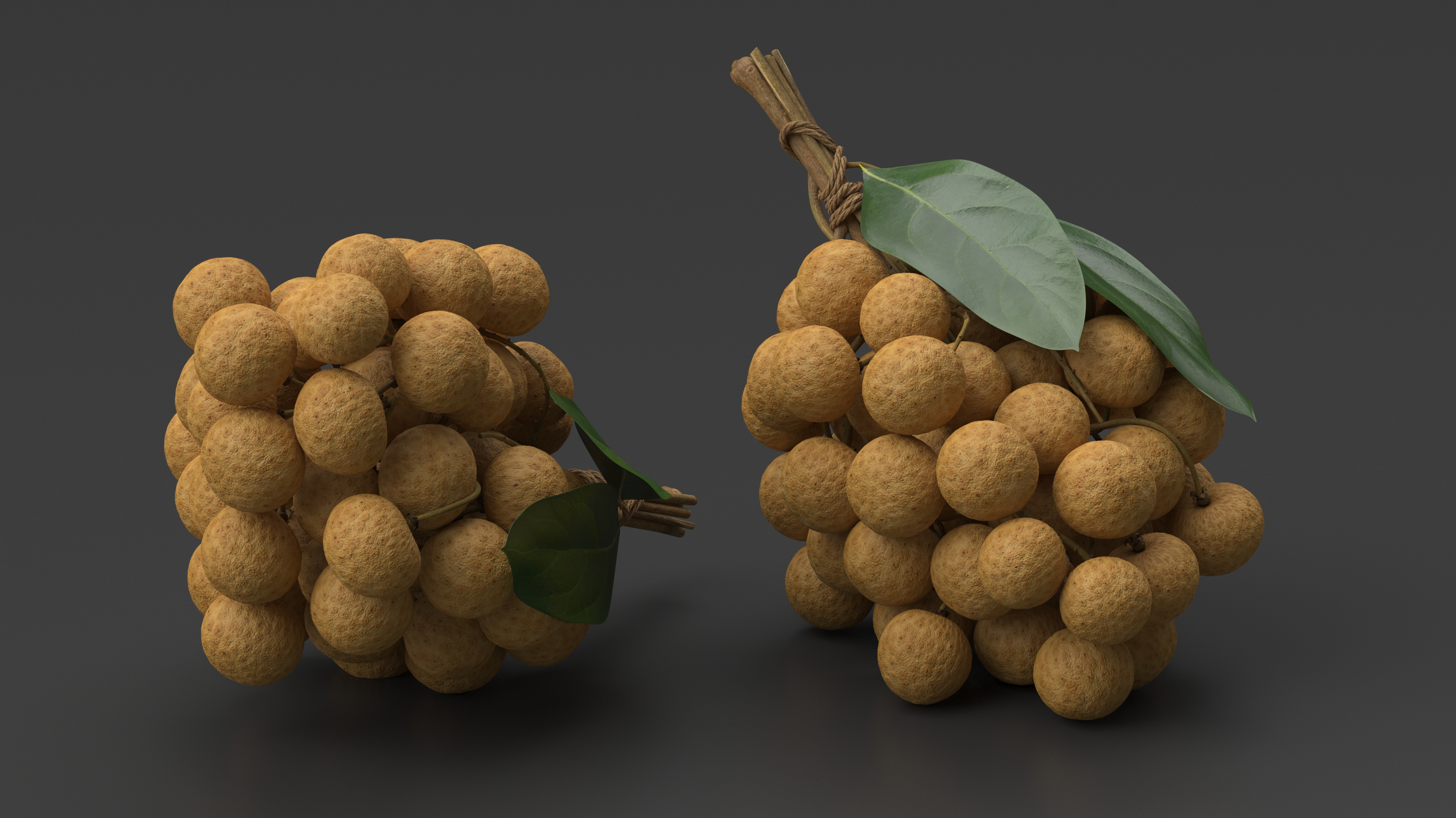 3D Longan Exotic Fruit Bundle