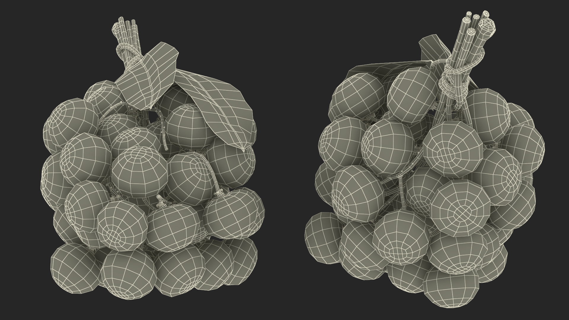 3D Longan Exotic Fruit Bundle