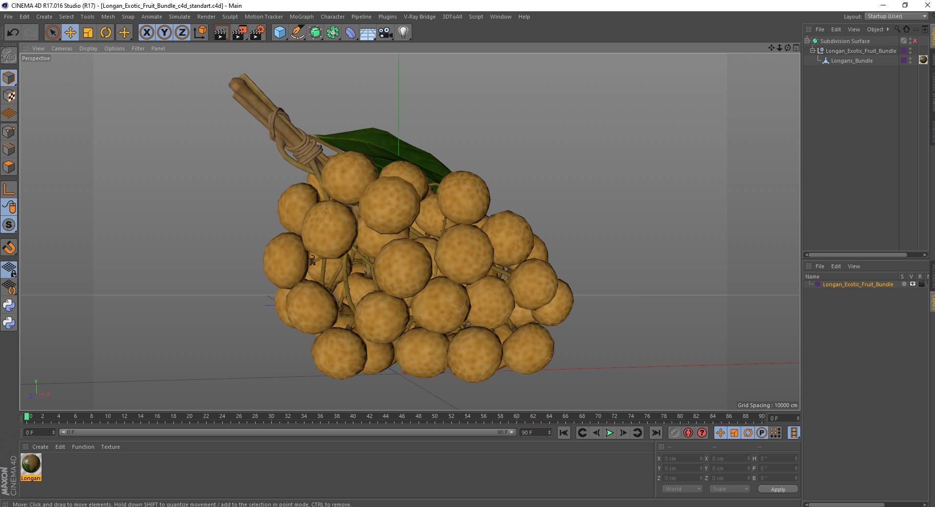 3D Longan Exotic Fruit Bundle