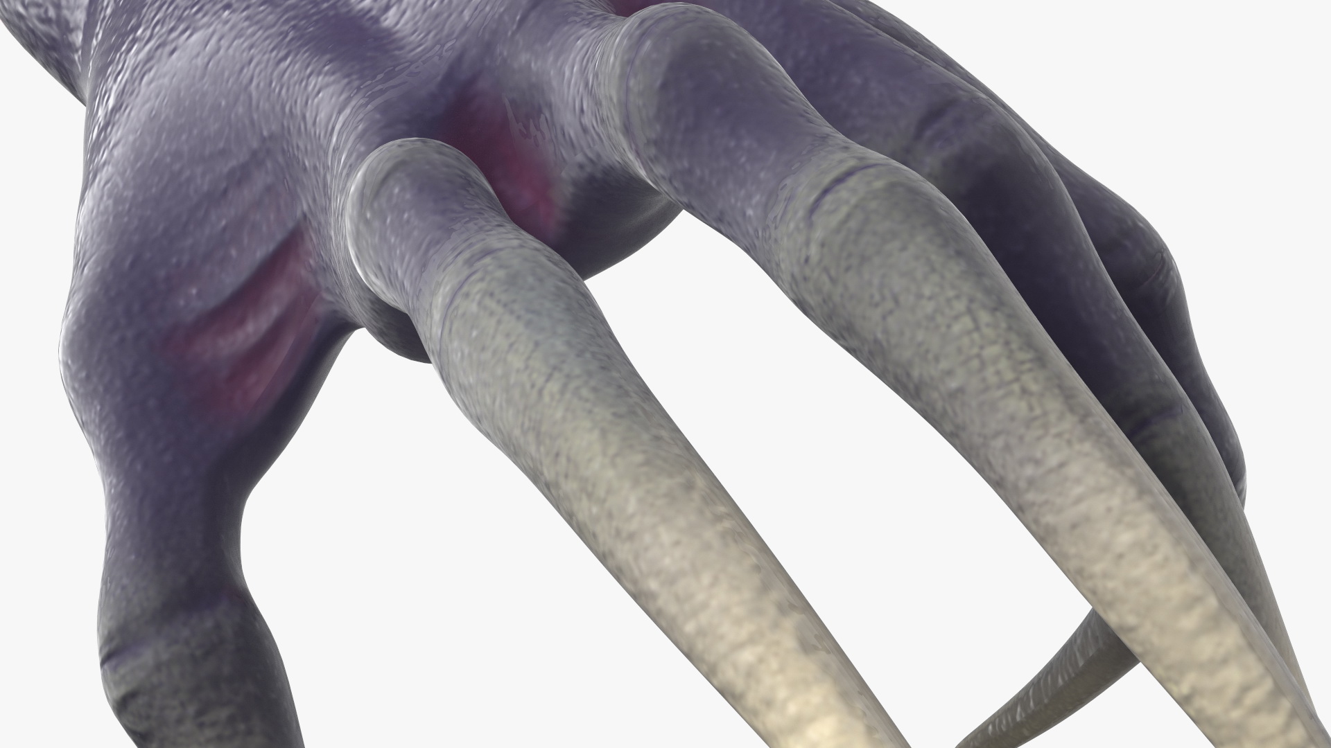 3D model Scary Creature Wrist